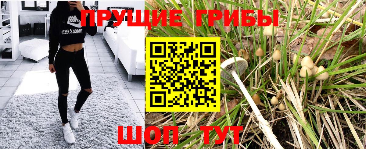 Псилоцибиновые грибы Psilocybe  Вход с VPN  Мытищи 