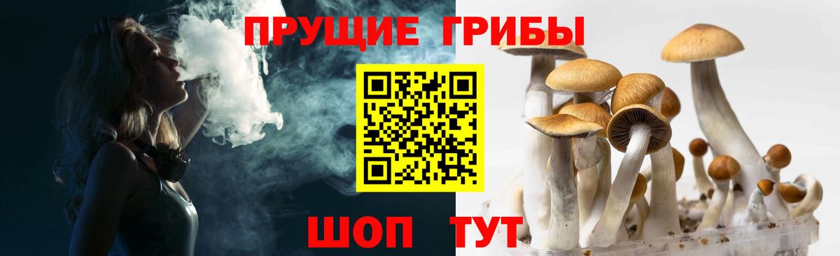 Псилоцибиновые грибы MAGIC MUSHROOMS Мытищи